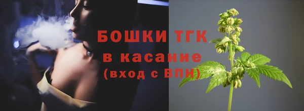 гидропоника Белокуриха
