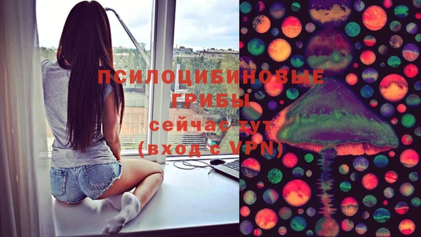 гидропоника Белокуриха
