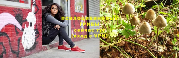 МДПВ Богородицк