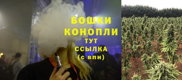 СК Богданович