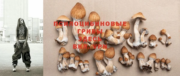 гидропоника Белокуриха