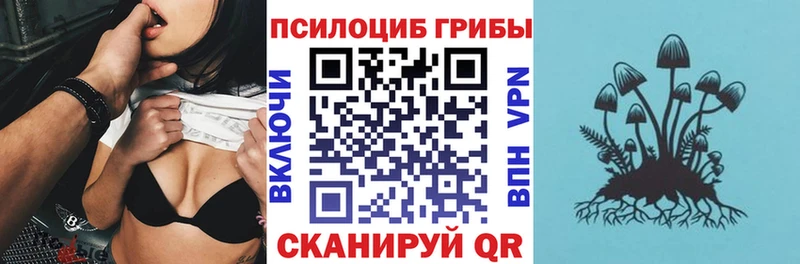 Галлюциногенные грибы мицелий  Кинешма 